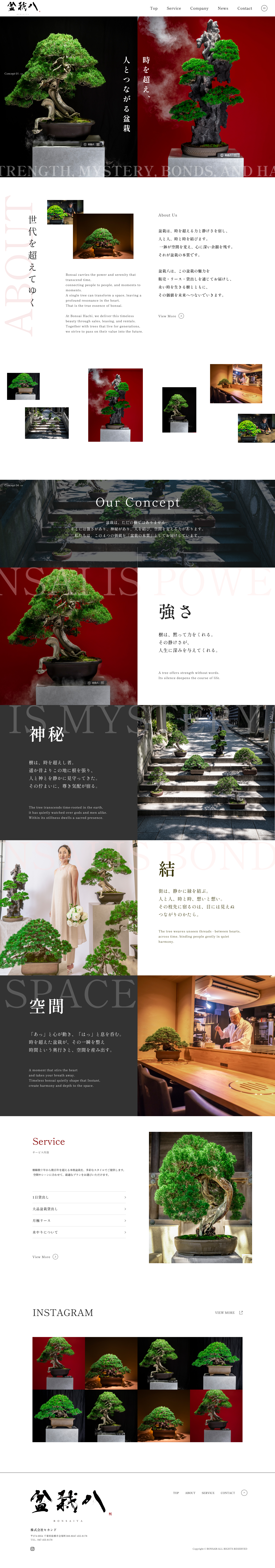 盆栽八 HP制作